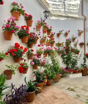 Amal Casa de huéspedes